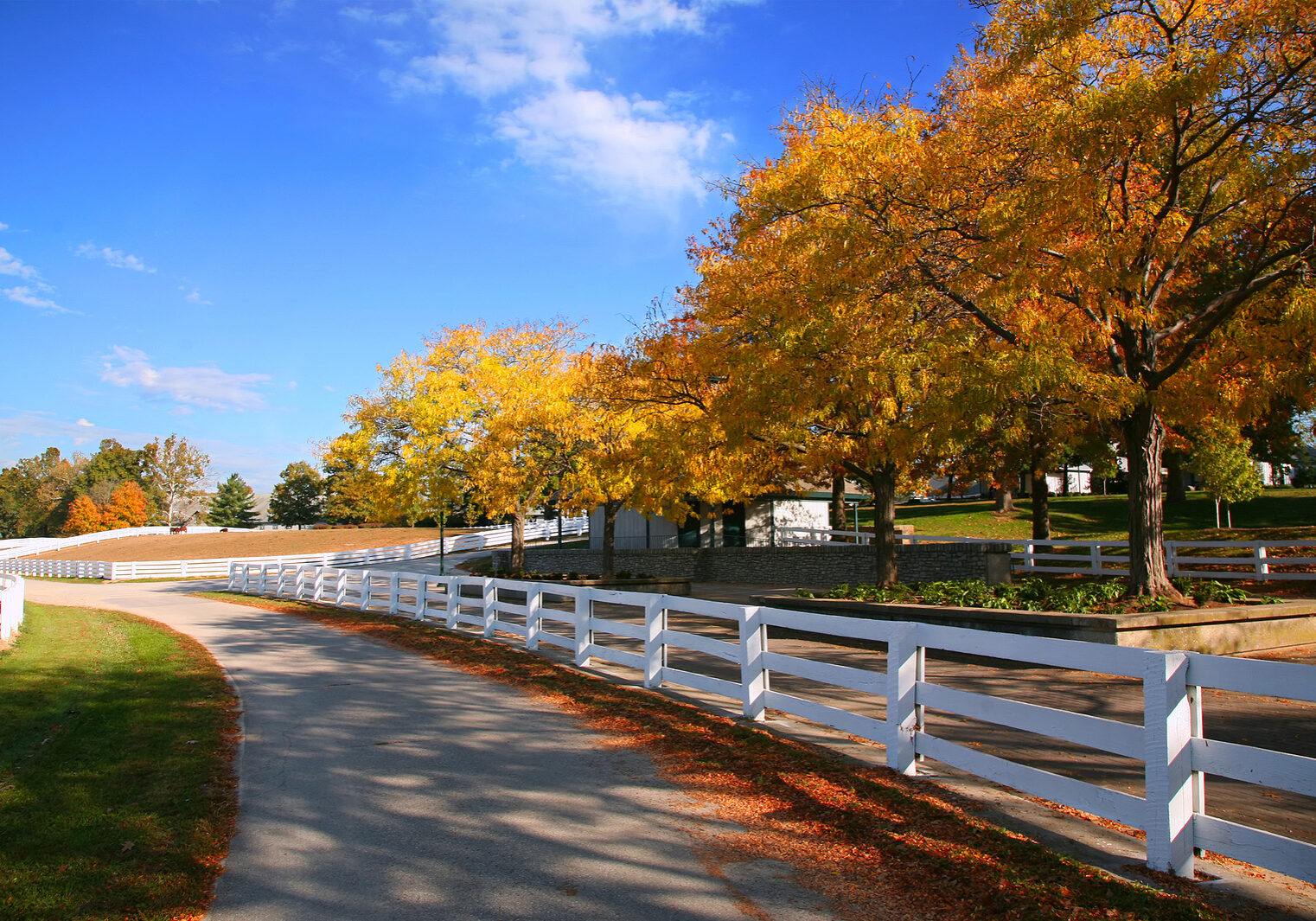 Horse Farm with Beautiful White Fences